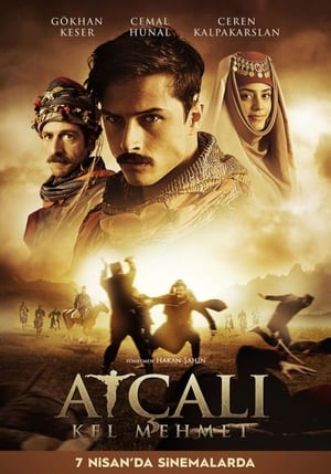 Atçali Kel Mehmet (2017) Hindi Dual Audio 720p HDTVRip [1GB]