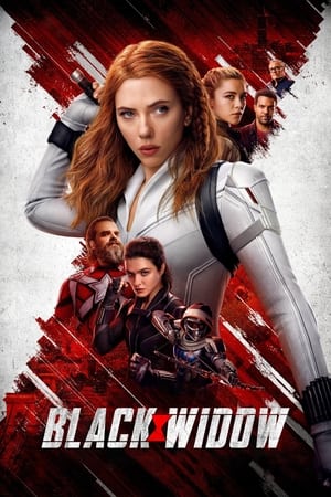 Black Widow (2021) Hindi Dual Audio 480p HDRip 450MB