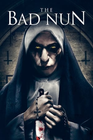 The Bad Nun 2018 Hindi Dual Audio 480p HDRip 300MB