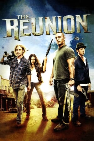 The Reunion (2011) Hindi Dual Audio HDRip 720p – 480p